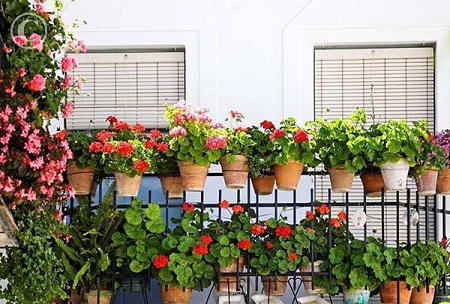 Biến ban công thành nơi thư giãn lãng mạn 