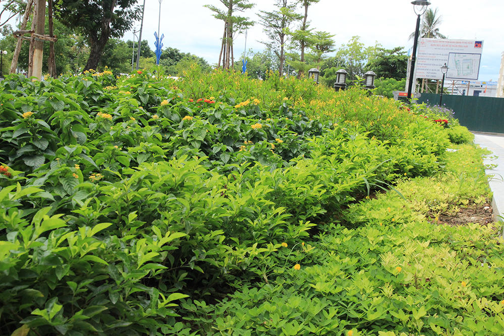 Vì sao Trung tâm Hành chính Đà Nẵng bị ruồng bỏ?