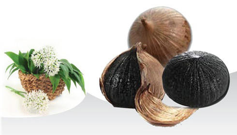 Tỏi đen có phải là thần dược? 