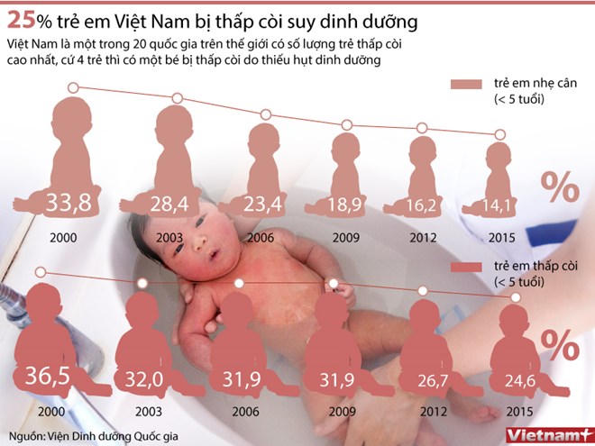 [Infographics] 25% trẻ em Việt Nam bị thấp còi, suy dinh dưỡng