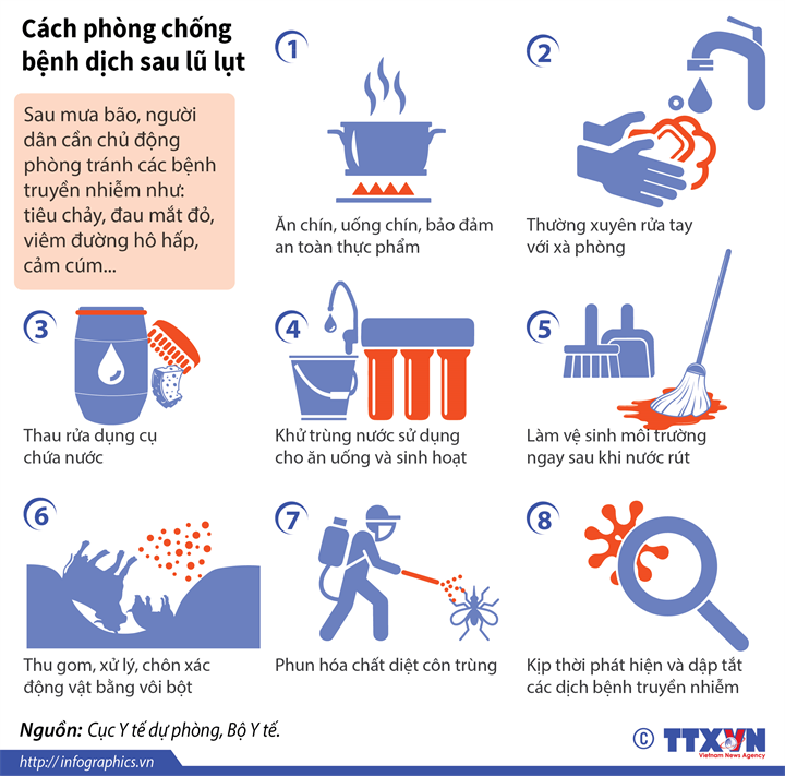 Infographic: Sau lũ lụt, cần phòng, chống bệnh tật như thế nào?