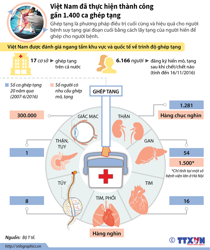 Infographic: Việt Nam đã thực hiện thành công gần 1.400 ca ghép tạng