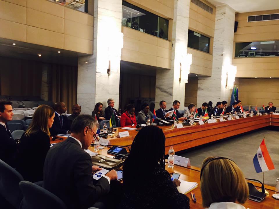 Việt Nam chính thức trở thành quốc gia thành viên của Tổ chức quốc tế về Luật Phát triển (IDLO)