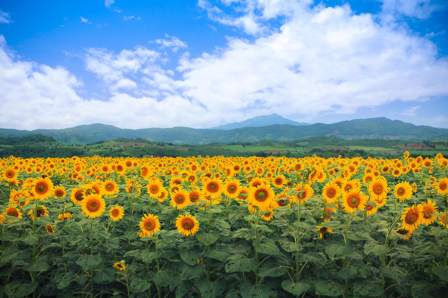 Ngân hàng Bắc Á nhận giải thưởng “Ngân hàng dẫn đầu về trách nhiệm xã hội Việt Nam 2016”
