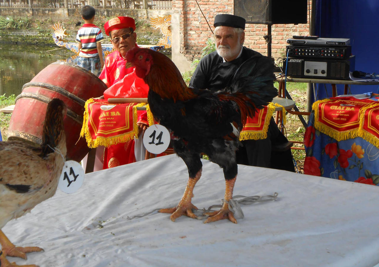 Về Lạc Thổ xem gà tiến Vua