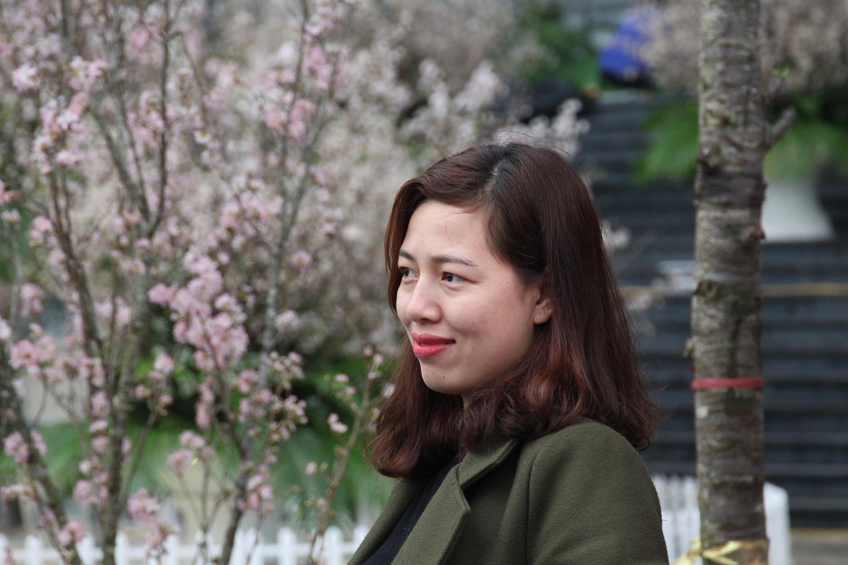 Người dân Vĩnh Phúc “say mê” lễ hội hoa Anh đào