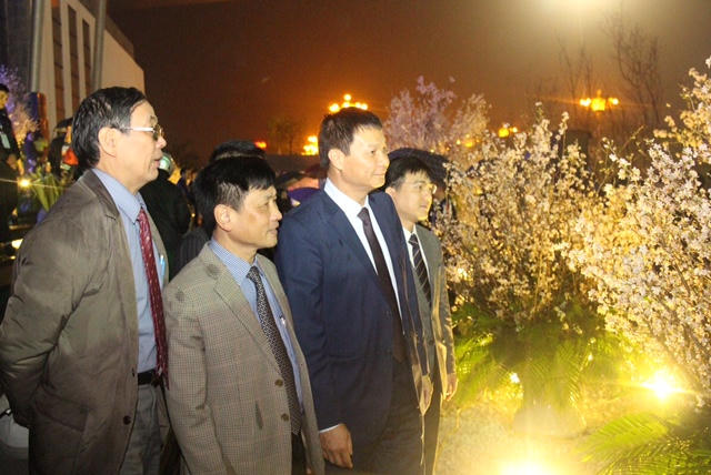 Người dân Vĩnh Phúc “say mê” lễ hội hoa Anh đào