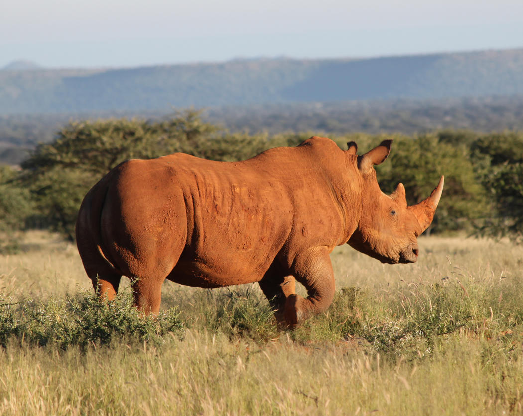 ĐBQH Nguyễn Văn Hiển (Lâm Đồng): Không cần thiết bổ sung 2 tội danh