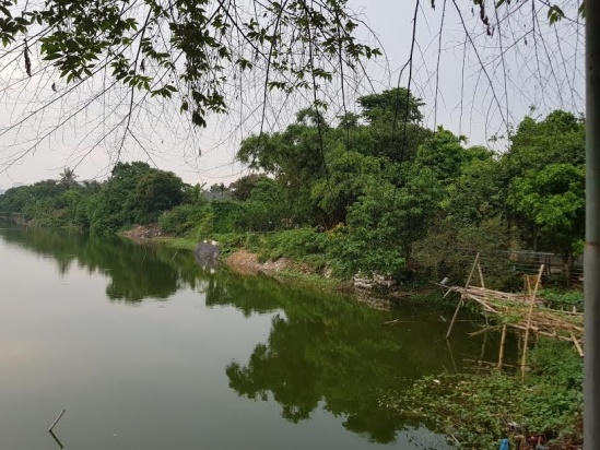 Vì sao đất nông nghiệp Hồ Tây bị “xâu xé“? 