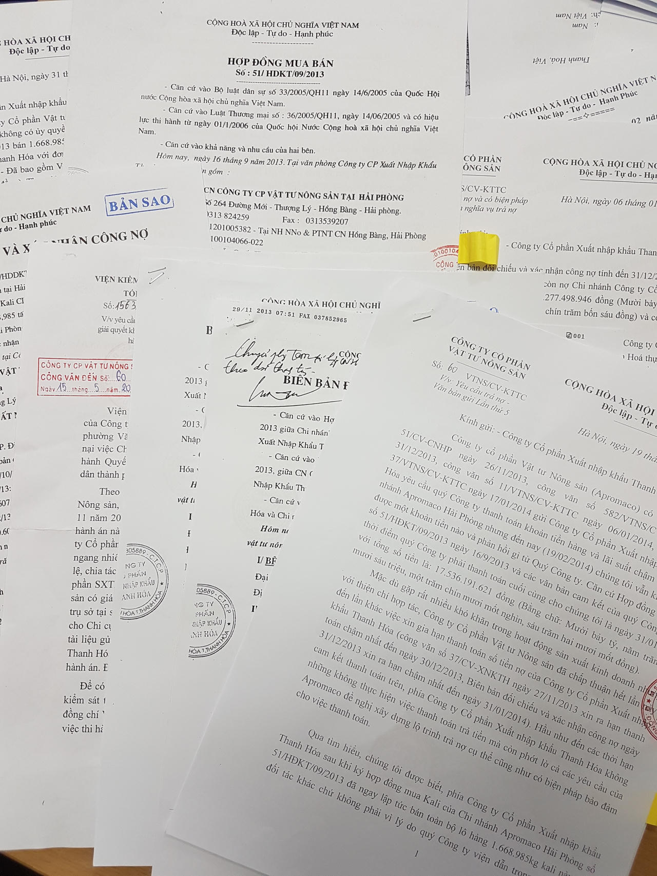 Giám đốc Công ty Cổ phần Xuất nhập khẩu Thanh Hóa bị tố cố tình tẩu tán tài sản, trốn tránh nghĩa vụ trả nợ