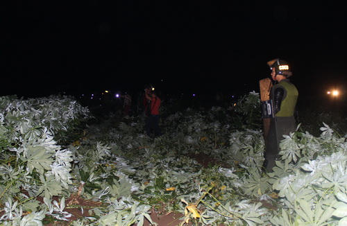 Hiện trường rẫy khoai mì nơi phát hiện thi thể nghi can. Ảnh: Phước Tuấn