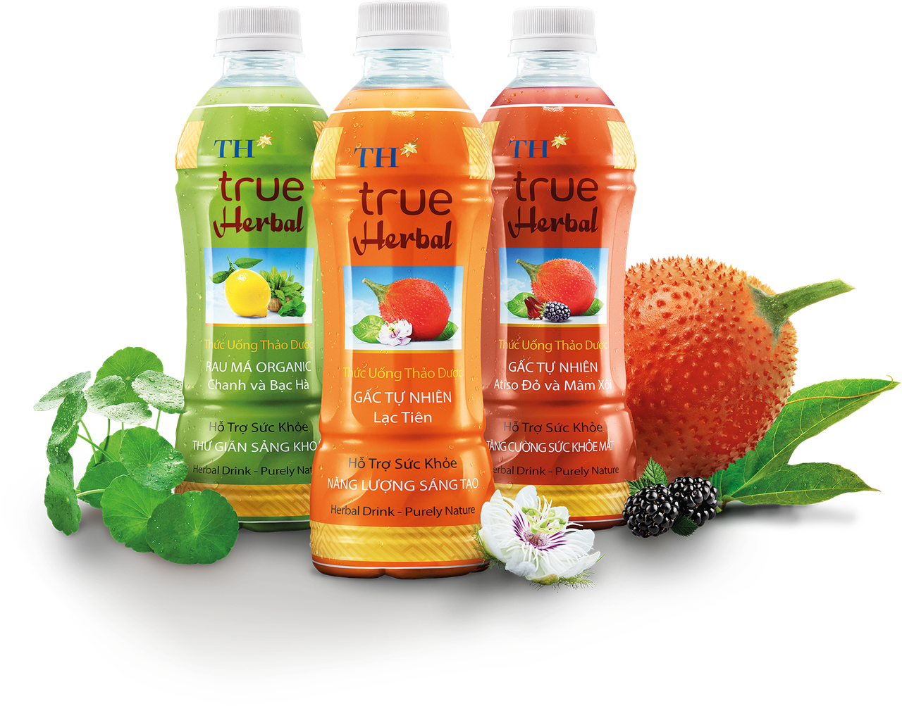Bà Thái Hương đưa ra cam kết trước công chúng về thức uống thảo dược hoàn toàn tự nhiên TH True Herbal