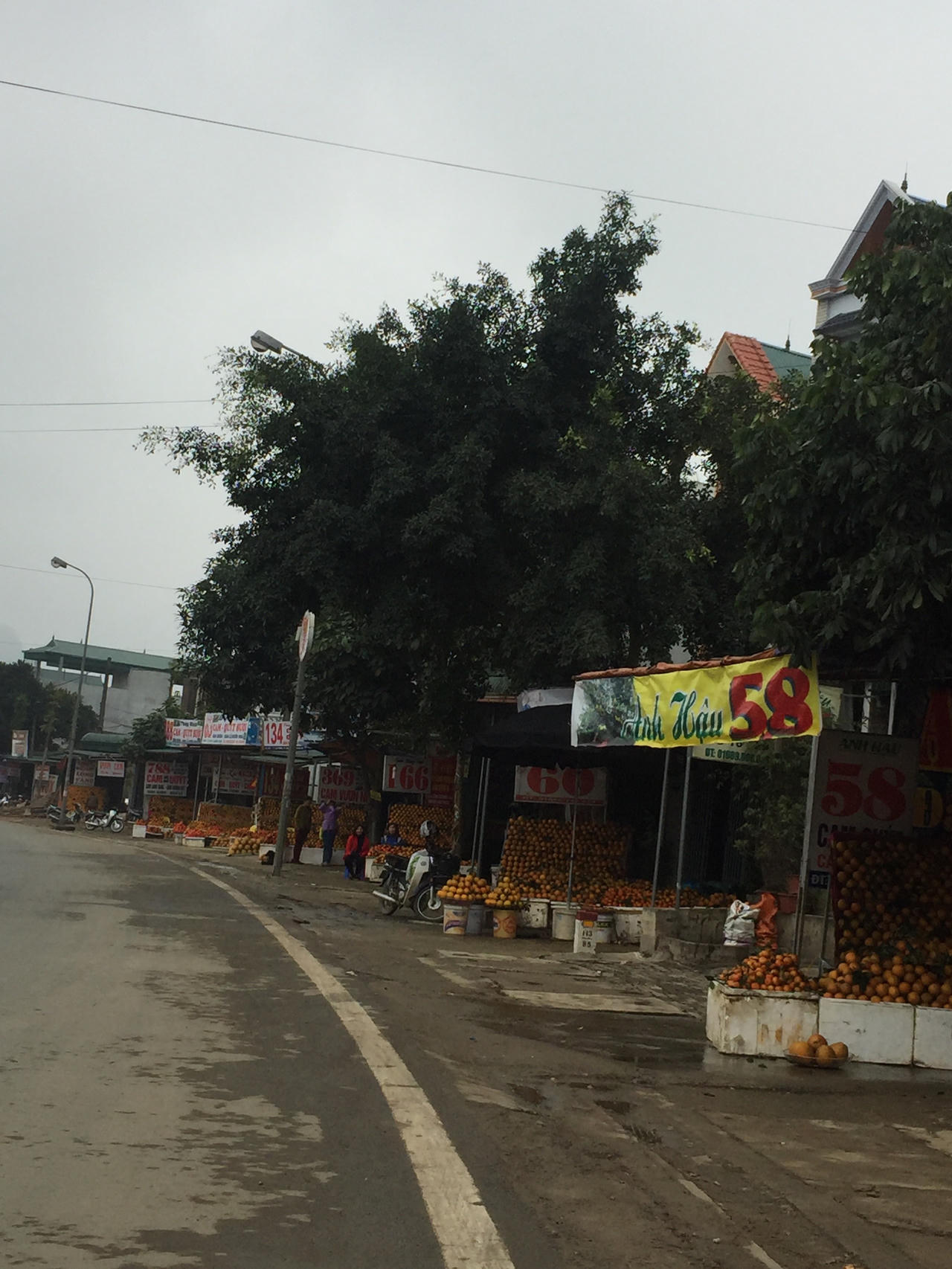 Thương hiệu cam Cao Phong tạo nên giá ổn định cho thị trường