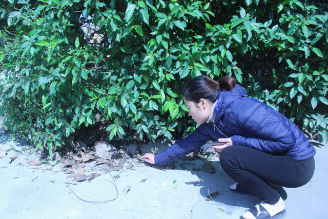 nghi an nam thanh nien bi ban chet khi cong an bat bac hai tieng no chat chua giua dem