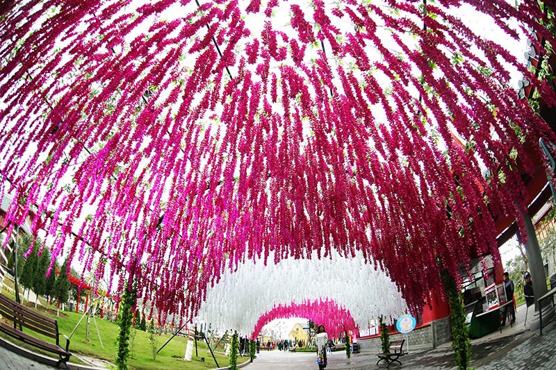 Đây mới là điểm check in “hot” nhất vịnh Bắc Bộ