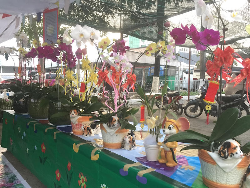 Gian hàng lan đặc biệt trong chợ Xuân Mậu Tuất