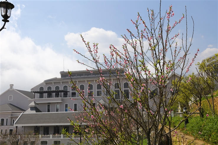 Du khách đổ về dự hội khèn hoa Sun World Fansipan Legend