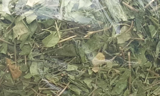 Hại đủ đường khi sử dụng dược liệu trị tiểu đường trôi nổi