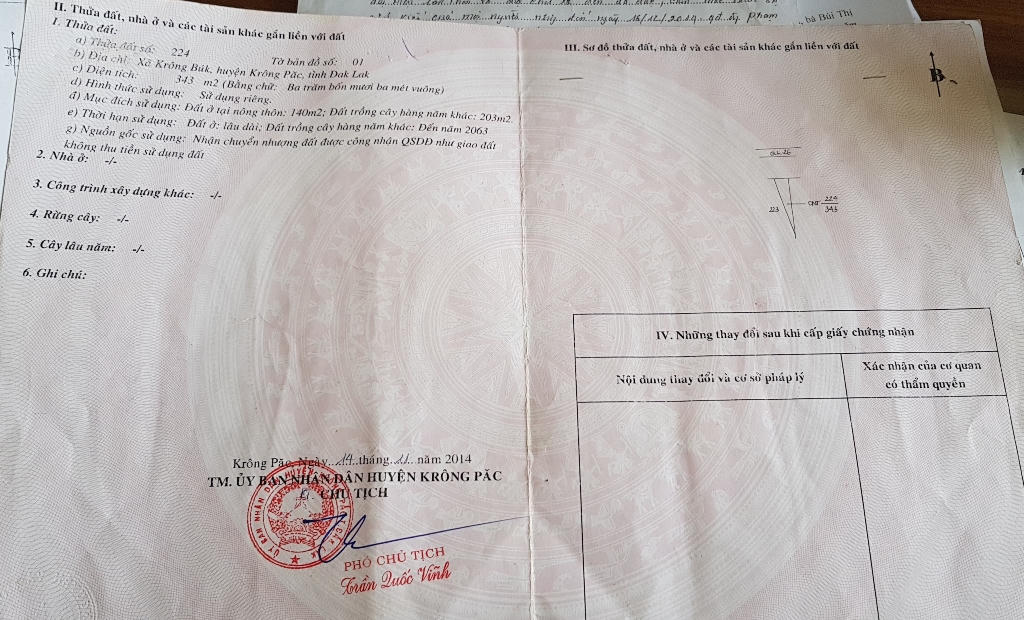 Đắk Lắk:  Hàng rào dâm bụt “vô duyên” khiến chủ đất bị bác đơn khởi kiện 