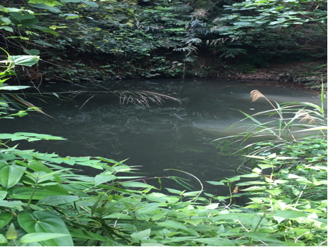 Tiếp vụ cháu bé bị chết dưới ao với 3 vòng xích quấn cổ: Cơ quan điều tra Công an tỉnh Hà Giang đã làm hết trách nhiệm? 