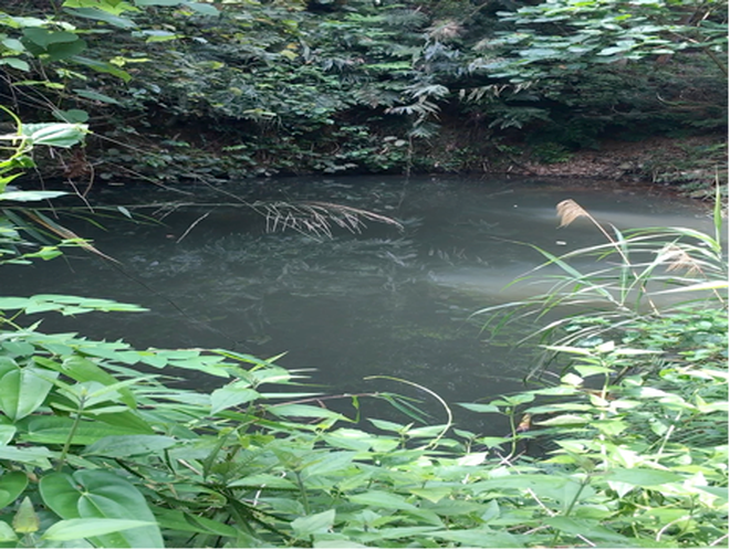    Luật sư Nguyễn Văn Nguyên: Nhiều bất thường trong vụ án cháu bé chết dưới ao 8 năm không tìm ra thủ phạm