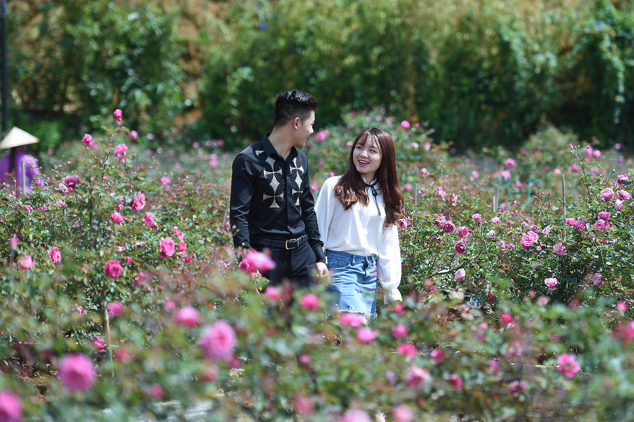 Hà Nội nóng hơn 40 độ C, người thành phố check-in đỉnh Fansipan