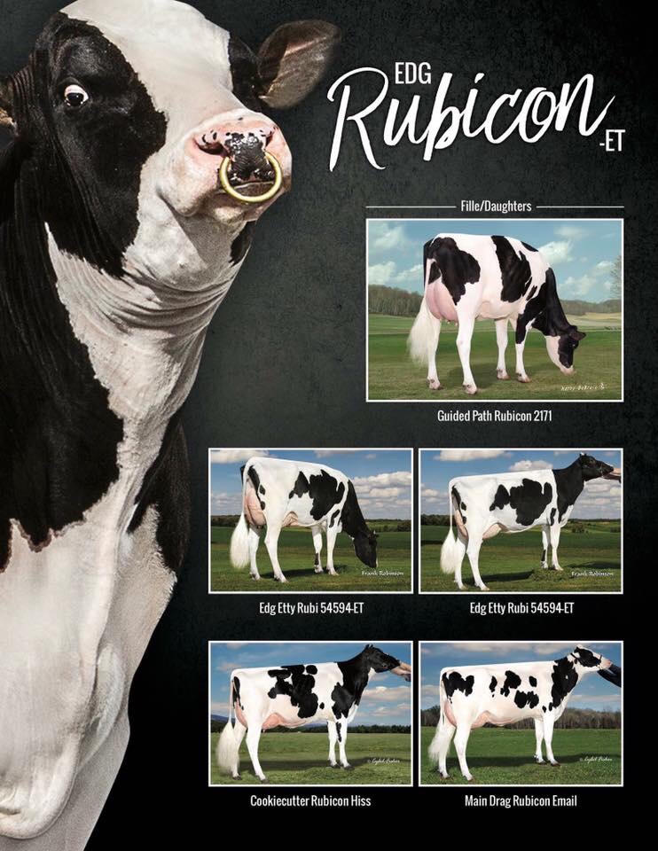 Thành tựu mới của Tập đoàn TH True Milk: Sữa A2, thêm một mùa hoa trên đồng đất Việt !