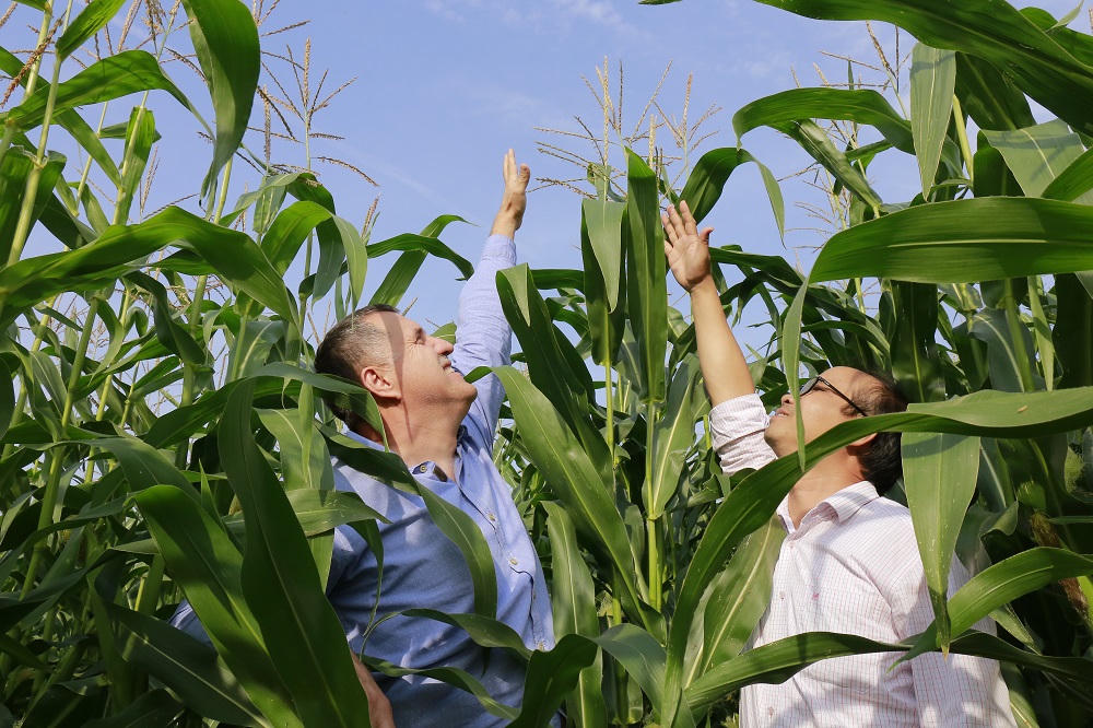 Tình đất ở xứ sở Bạch Dương