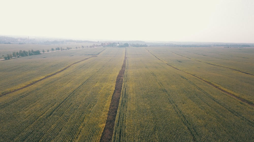 Tình đất ở xứ sở Bạch Dương