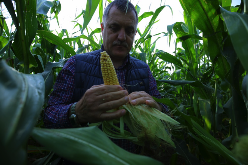 Tình đất ở xứ sở Bạch Dương