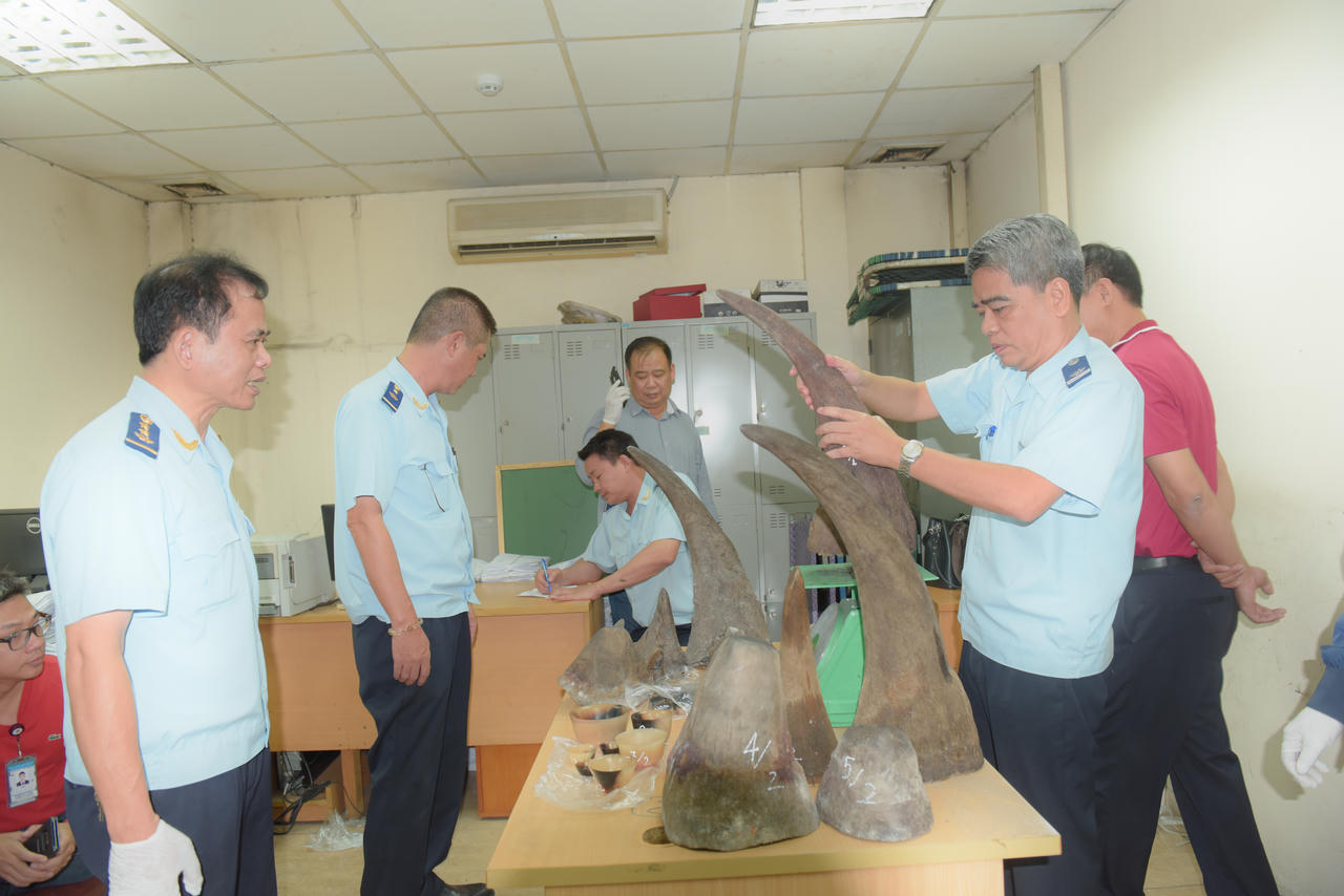 Hải quan lại phát hiện 13 sừng tê giác vận chuyển qua đường hàng không