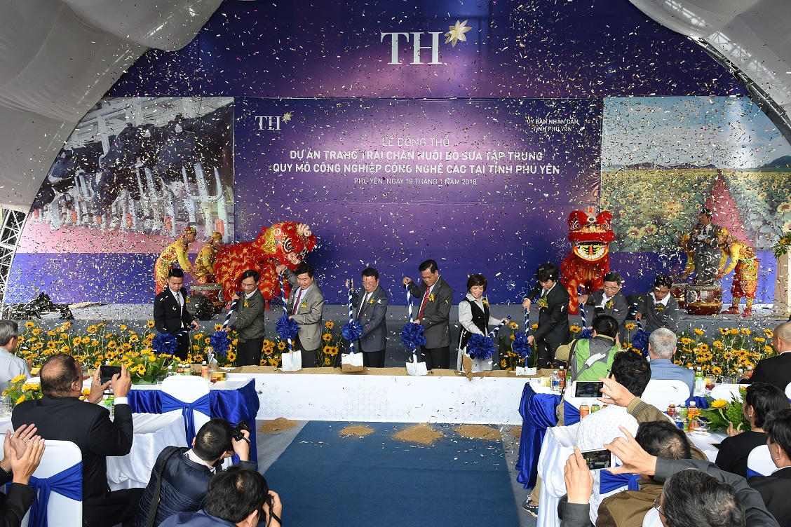 Tập đoàn TH phát triển đàn bò sữa 20.000 con tại Phú Yên 