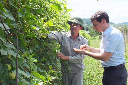 tap doan th - tien phong organic vi suc khoe cong dong hinh anh 1