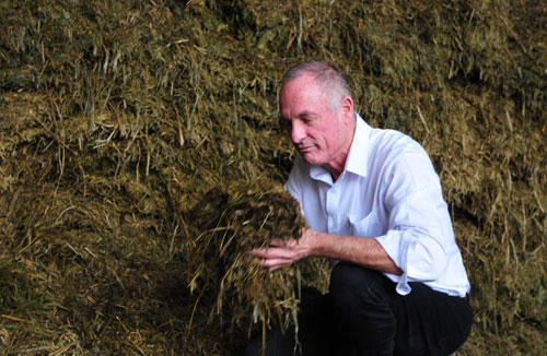 tap doan th - tien phong organic vi suc khoe cong dong hinh anh 3