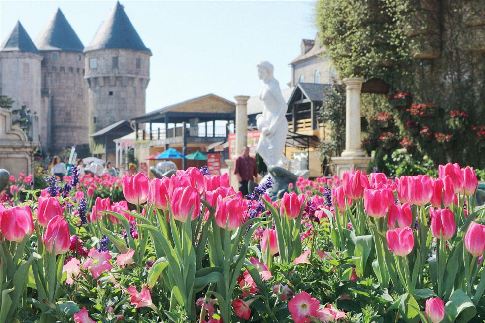 1000 vé miễn phí, chọn Tết nhà hay Tết Sun World?