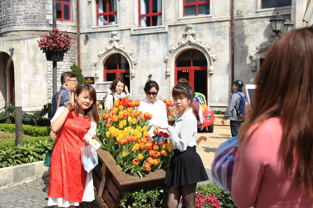 Tâm sự những người trồng hoa bằng… niềm tin trên các đỉnh núi