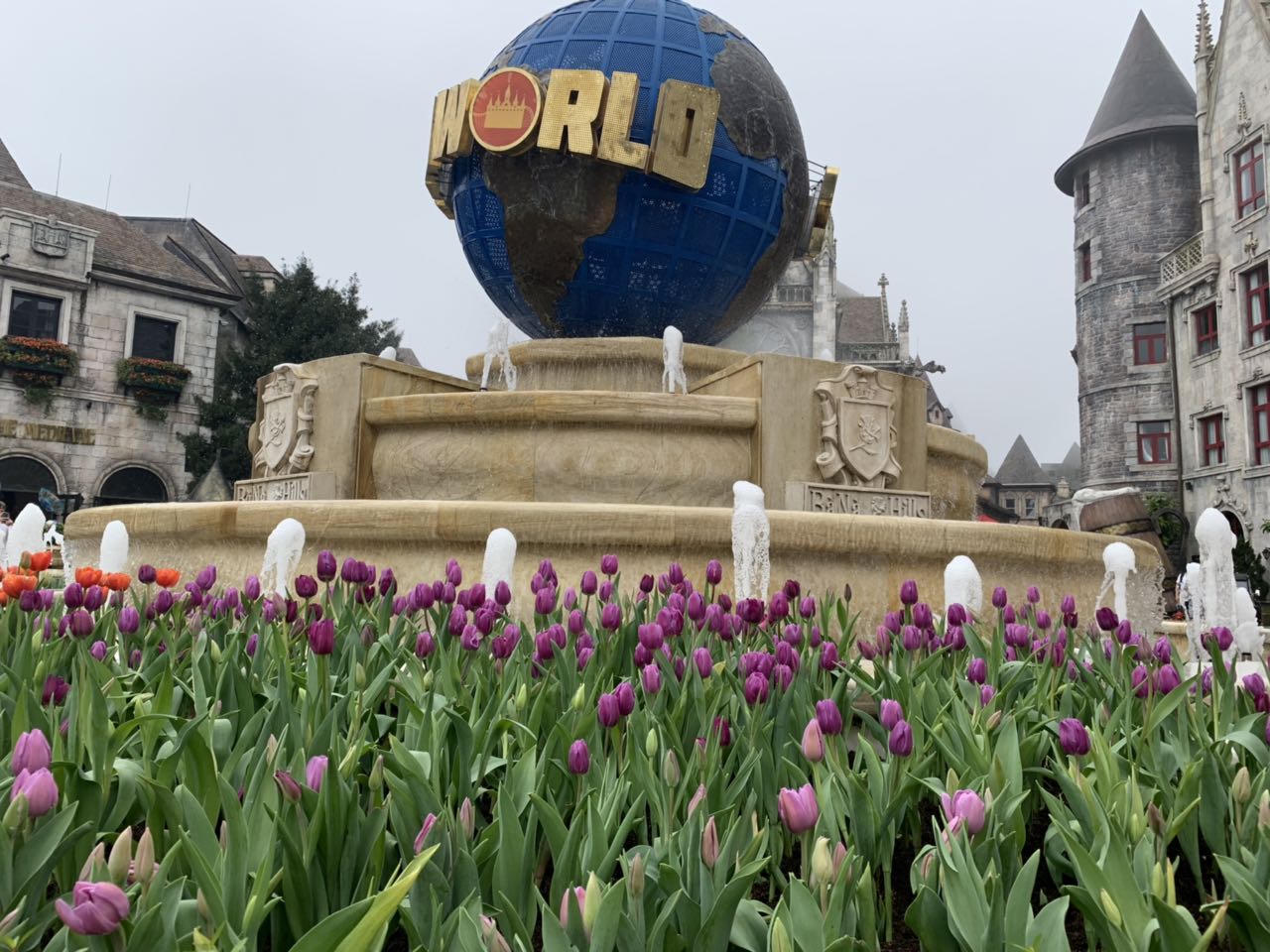 Lên Bà Nà Tết Kỷ Hợi, ngắm đàn heo dễ thương chưa từng thấy