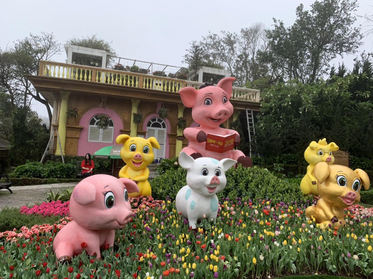 Lên Bà Nà Tết Kỷ Hợi, ngắm đàn heo dễ thương chưa từng thấy