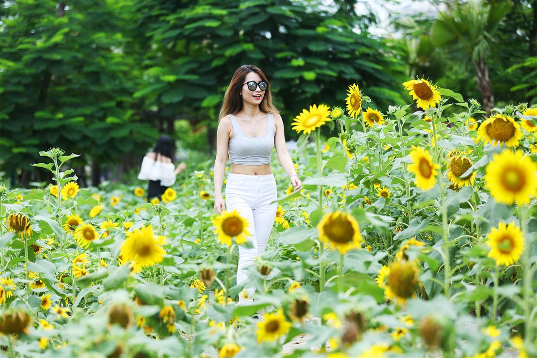 Vui quên lối về tại công viên chủ đề lớn nhất Đông Nam Á chỉ với 50.000 đồng