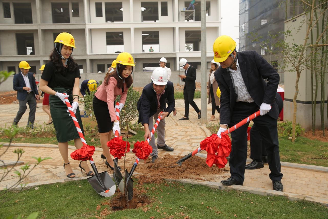 Khởi trồng con đường hoa anh đào đầu tiên tại Phúc Yên