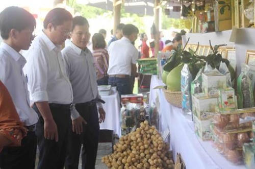 Nhiều đổi thay tích cực khi vùng Duyên hải Nam Trung Bộ và Tây Nguyên xây dựng nông thôn mới