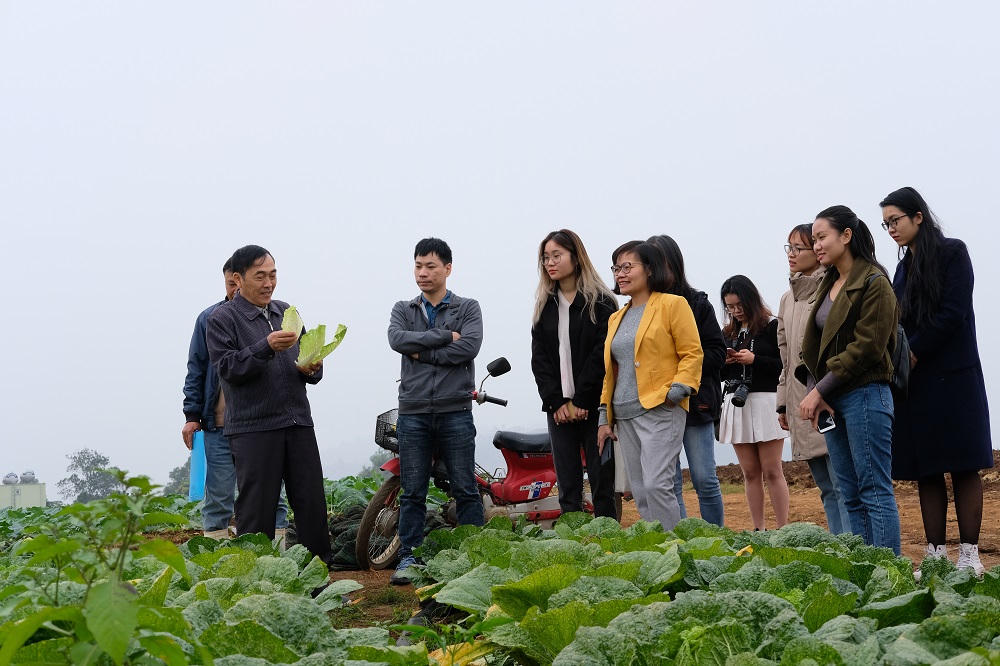 Một ngày ở trang trại rau truy xuất nguồn gốc đa nền tảng đầu tiên ở Việt Nam 