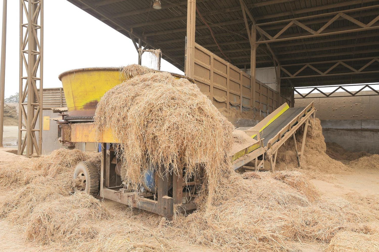 Chuyện người Việt và những “sáng chế triệu đô” tại cụm trang trại công nghệ cao khép kín lớn nhất thế giới