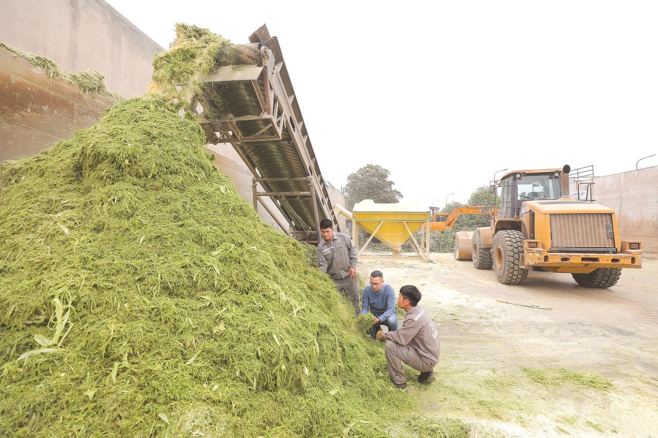 Chuyện người Việt và những “sáng chế triệu đô” tại cụm trang trại công nghệ cao khép kín lớn nhất thế giới