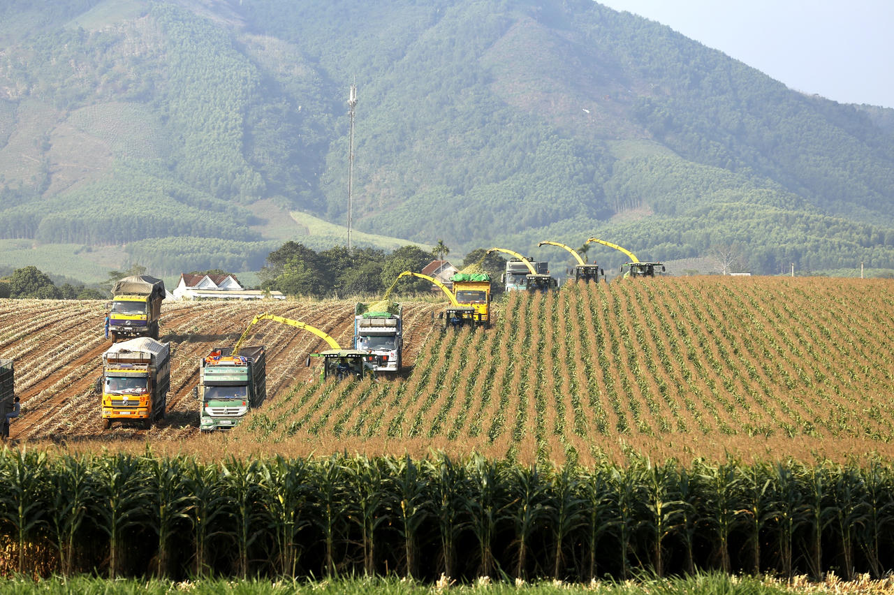 Anh hùng Lao động Thái Hương: Top 10 doanh nhân Việt Nam tiêu biểu 2022