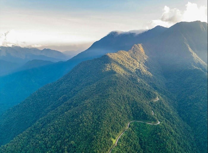 Trương Cảm - Người kiểm lâm mẫn cán của đại ngàn Bạch Mã