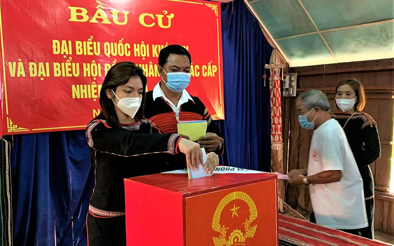 Ts. Nguyễn Văn Cương: “Trong Nhà nước pháp quyền XHCN Việt Nam, hệ thống pháp luật phải được thực hiện nghiêm minh và nhất quán”