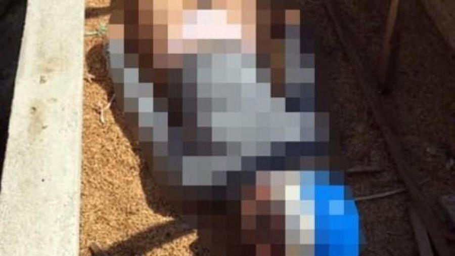 Phá giải “ma trận” xung quanh cái chết của thiếu nữ giao gà