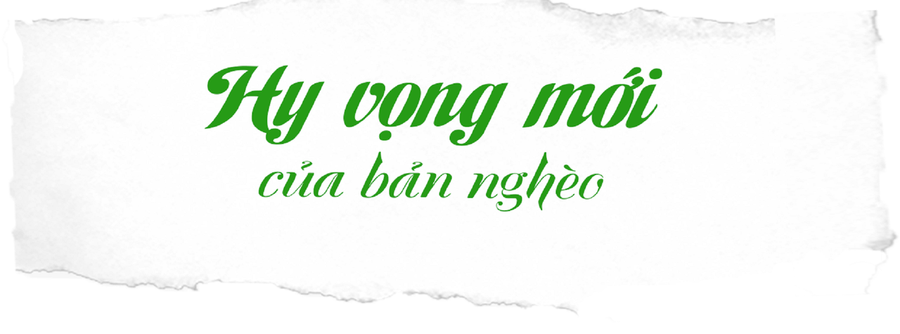 Đường đá cổ Pavi huyền thoại: Trầm tích giữa rừng thẳm