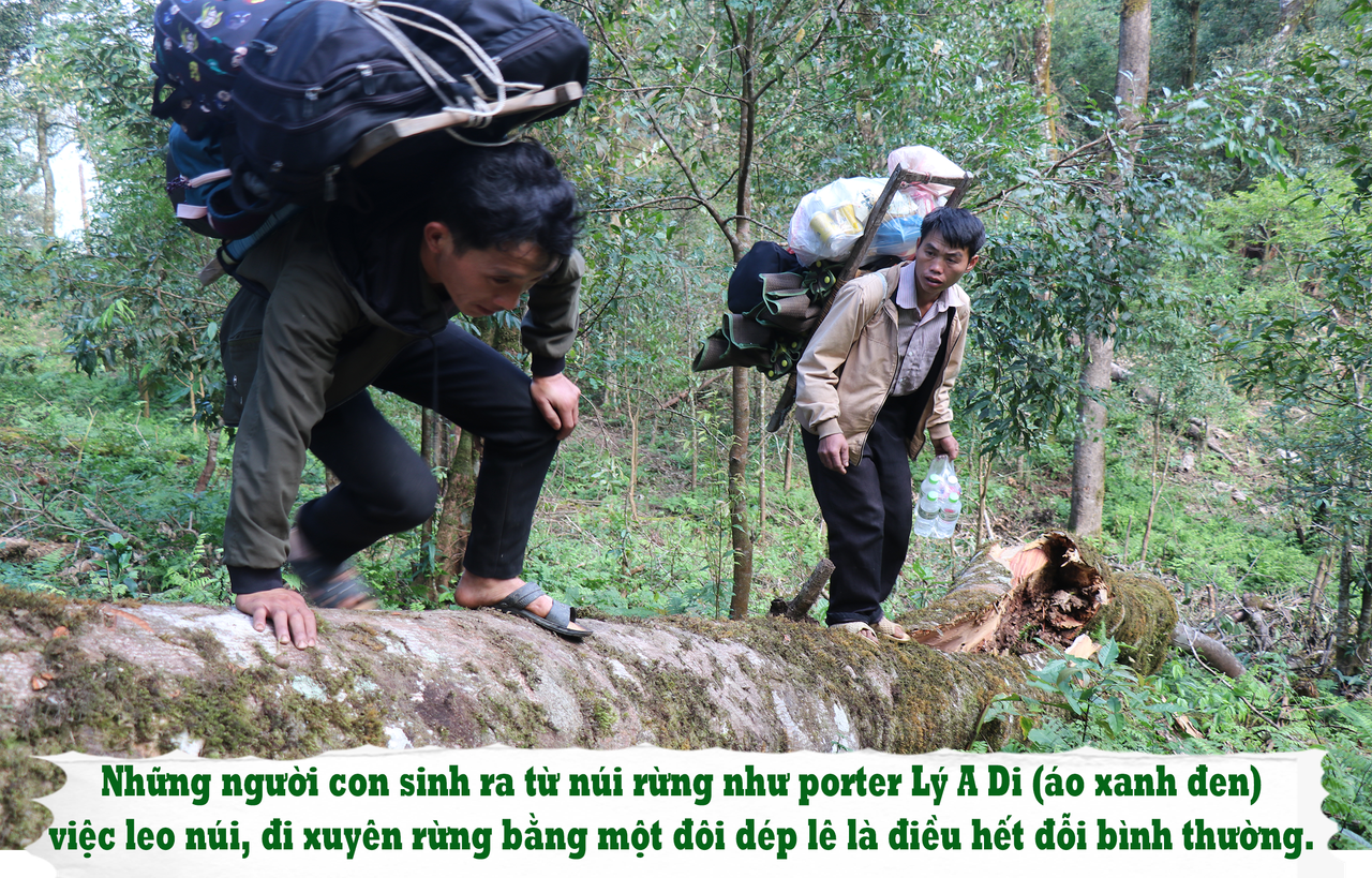 Đường đá cổ Pavi huyền thoại: Trầm tích giữa rừng thẳm